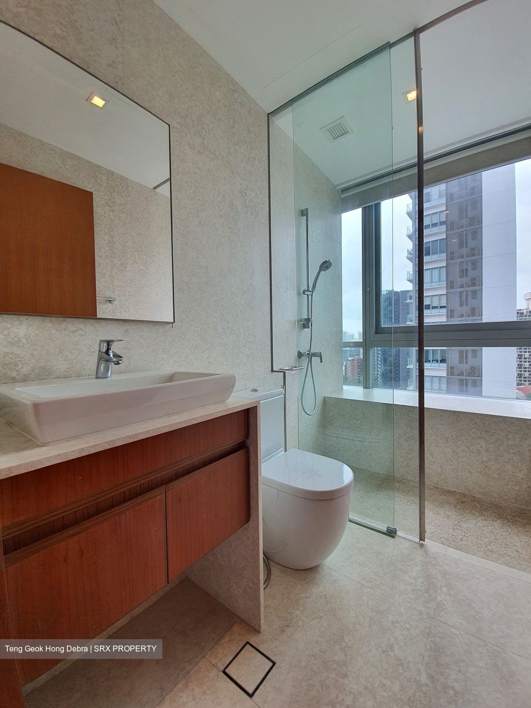 Skyline @ Orchard Boulevard (D9), Apartment #391343981